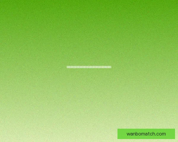 二零二六世界杯实时比分追踪各队激战形势与今日赛况全景速览深度