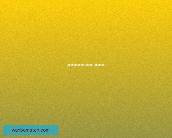 世界杯竞猜网站推荐与分析 提升投注技巧 助力球迷精准预测