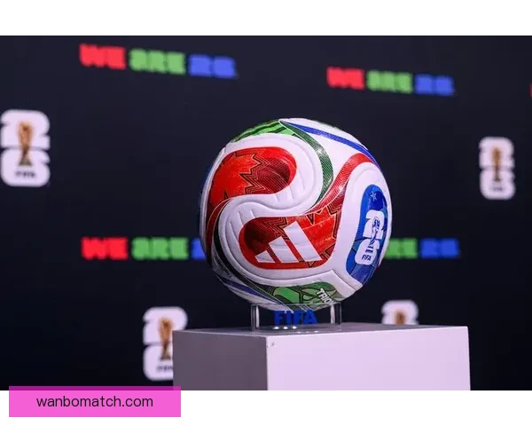 2026年世界杯将在三国联合举办 探索美国 墨西哥和加拿大的赛事魅力与文化交融