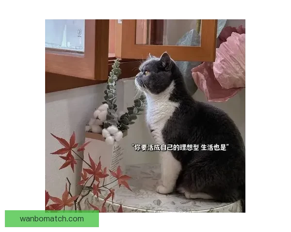 卡尔：低谷中的挣扎让我更加坚定 现在终于找回自我状态